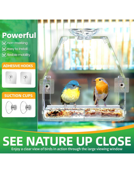 Comedero para Aves de Ventana WENMIXER con Ventosas y Ganchos Comedero para Aves de Ventana WENMIXER con Ventosas y Ganchos