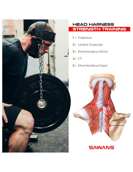 Arnés de Entrenamiento de Cuello SAWANS - Ajustable, Neopreno Arnés de Entrenamiento de Cuello SAWANS - Ajustable, Neopreno