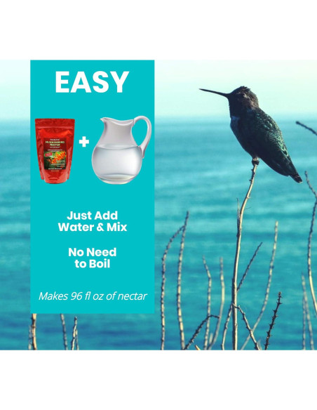 Néctar para Colibríes Naturally Fresh 2.84L con Nectar Defender Néctar para Colibríes Naturally Fresh 2.84L con Nectar Defender