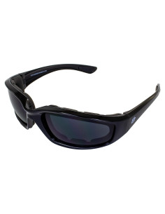 Gafas de Motocicleta Birdz Eyewear Oriole con Lentes Oscuros