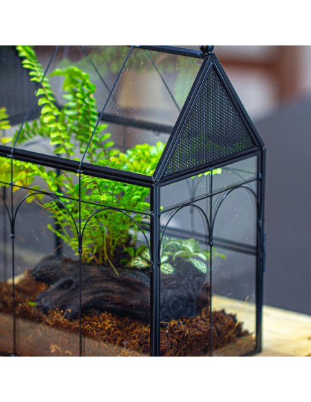 Terrario de Vidrio NCYP 19x12.5x23 cm para Insectos y Arañas Terrario de Vidrio NCYP 19x12.5x23 cm para Insectos y Arañas