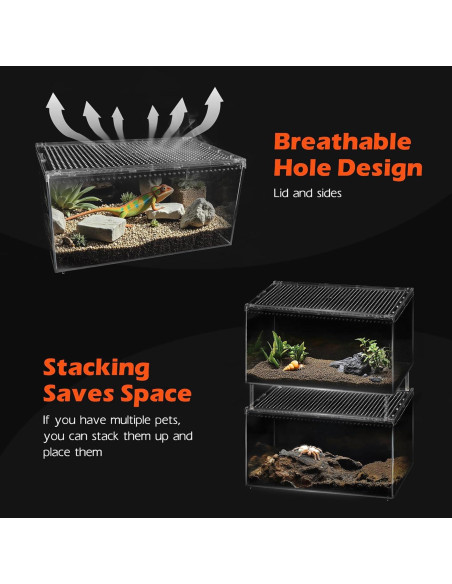 Tanque de Terrario AZV Reptile 20x15x10 cm para Gecko y Tarantula Tanque de Terrario AZV Reptile 20x15x10 cm para Gecko y Tarantula