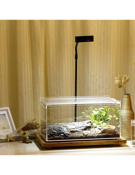 Recinto Acrílico Grande NANEEZOO 9.5L para Reptiles 30.5x20.3cm Recinto Acrílico Grande NANEEZOO 9.5L para Reptiles 30.5x20.3cm
