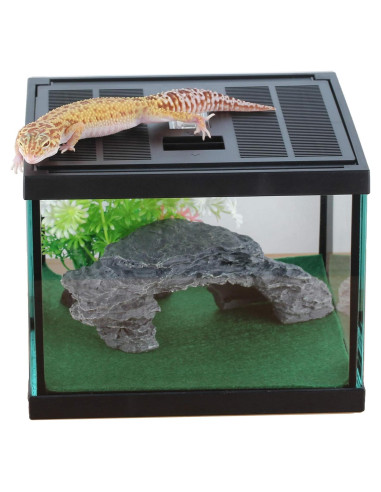 Terrario de Vidrio Crapelles 19.81x19.81x14.99 cm para Insectos