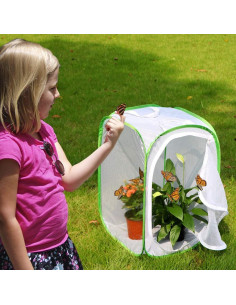 Terrario Profesional para Mariposas Restcloud - 3 Unidades 39.9x39.9x60 cm 2