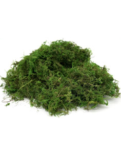 Musgo Falso Usmola 113.4g Verde Fresco para Decoración 2