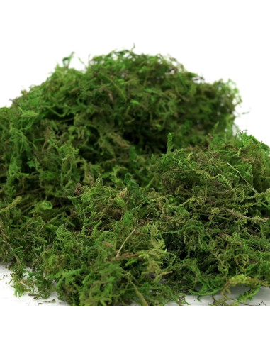 Musgo Falso Usmola 113.4g Verde Fresco para Decoración