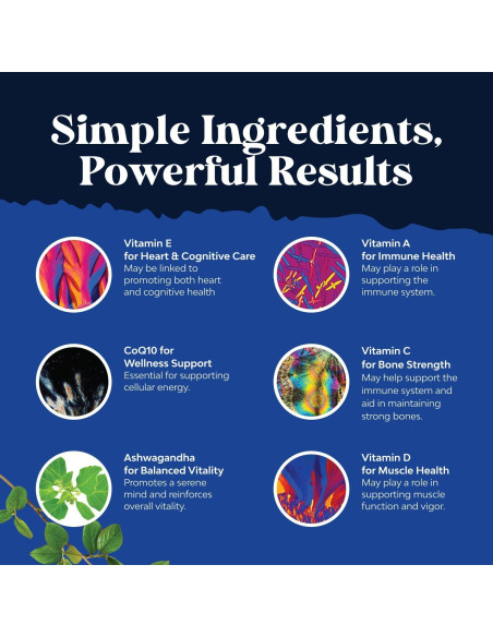 Gomitas Multivitamínicas Diarias Natures Craft 90 Unidades Gomitas Multivitamínicas Diarias Natures Craft 90 Unidades