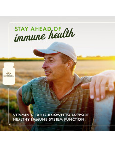 Suplemento de Vitamina C Swanson 1000 mg 250 Tabletas 2