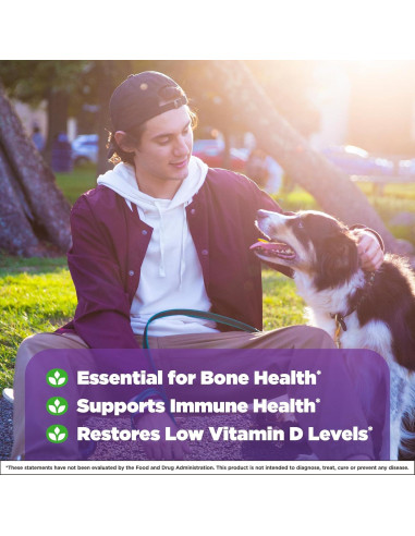 Suplemento Vitamina D3 2000 UI Natrol 90 Tabletas Rápido Disolvente