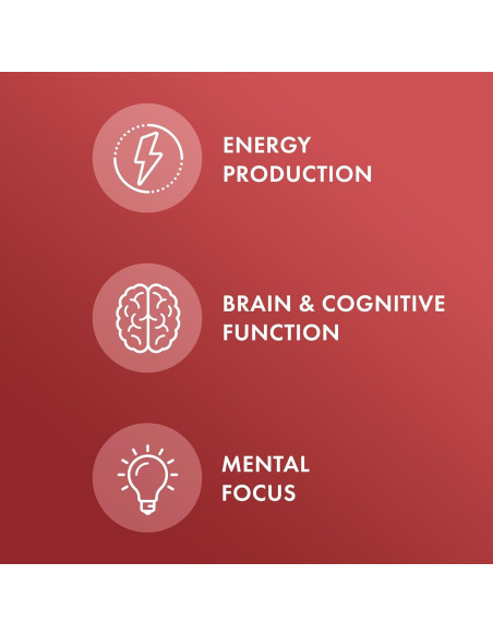 Vitamina B12 Masticable Orgánica Dr. Mercola 30 Tabletas 1000 mcg Vitamina B12 Masticable Orgánica Dr. Mercola 30 Tabletas 1000 mcg