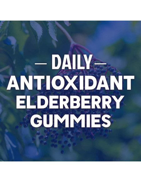 Gomitas de Soporte Inmunológico Nature's Nutrition 60 Unidades Gomitas de Soporte Inmunológico Nature's Nutrition 60 Unidades