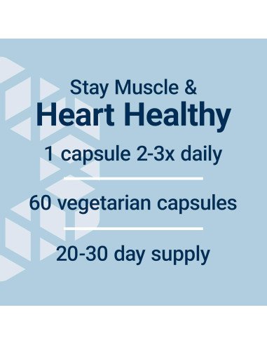 Suplemento de L-Carnosina Life Extension 500mg - 60 Cápsulas Vegetarianas