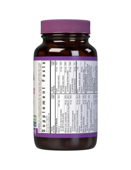 Suplemento Multivitamínico Bluebonnet Maxi One Sin Hierro 90 Cápsulas