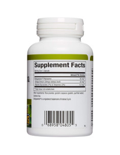 Cápsulas de Ginkgo Biloba Fitósoma HerbalFactors 60 unidades 2