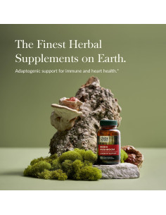 Suplemento Herbal Adaptógeno Gaia Herbs Hongo Reishi 40 Cápsulas 2
