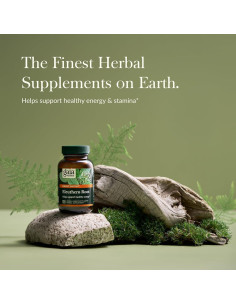 Raíz de Eleuthero Gaia Herbs - Suplemento Adaptógeno 60 Cápsulas 2