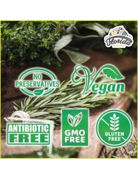Extracto de Ginseng Americano Orgánico Florida Herbs 700 mg 60 ml Extracto de Ginseng Americano Orgánico Florida Herbs 700 mg 60 ml