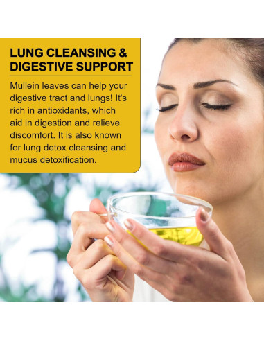 Té de hoja de Mullein Catfit - 40 bolsas, sin cafeína, No OGM