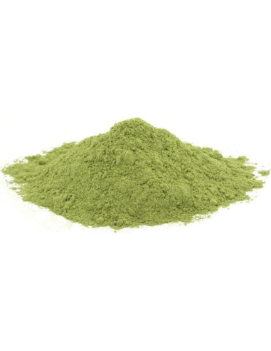 Cápsulas de Hoja de Damiana 100% Puras Siempre Puro 100 Unidades