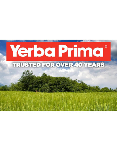 Cápsulas Veganas de Moringa Yerba Prima 180 Unidades 400mg