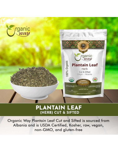 Hoja de Plátano Orgánica Cortada 454 g - Organic Way