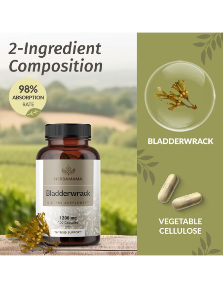 Cápsulas de Bladderwrack Herbamama 1200mg - Suplemento Vegano Cápsulas de Bladderwrack Herbamama 1200mg - Suplemento Vegano