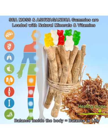 Gomitas Veganas de Musgo Marino y Ashwagandha Healing Drops 161g