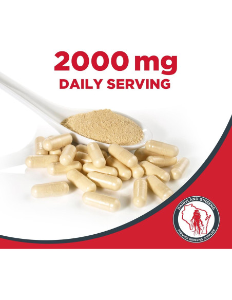 Cápsulas de Ginseng Americano Dairyland 75 ct - 500 mg Cápsulas de Ginseng Americano Dairyland 75 ct - 500 mg