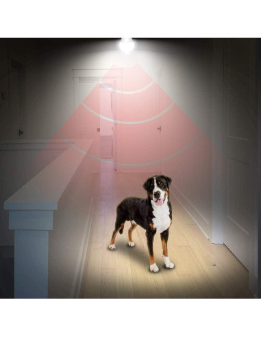 Bombilla LED AmeriTop A19 con Sensor de Movimiento 10W 806lm