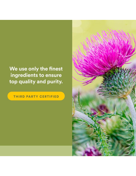 Cardo Mariano 250 mg Factores Naturales 60 Cápsulas Hepáticas Cardo Mariano 250 mg Factores Naturales 60 Cápsulas Hepáticas