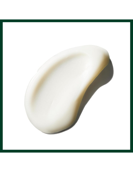 Crema Hidratante para Pies Aveda 150g | Exfolia y Suaviza Crema Hidratante para Pies Aveda 150g | Exfolia y Suaviza