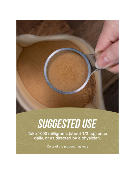 Extracto de Hongo Chaga en Polvo BulkSupplements 500g Sin Gluten Extracto de Hongo Chaga en Polvo BulkSupplements 500g Sin Gluten
