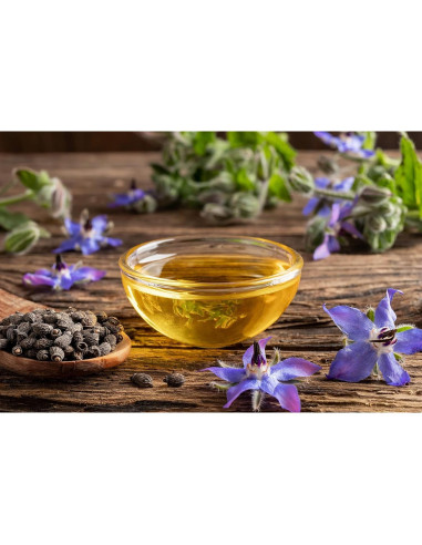 Aceite de Semilla de Borraja Dr Joe Lab 453 g Prensado en Frío