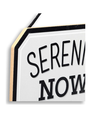 Cartel Colgante Decorativo Seinfeld Serenidad Ahora - Madera