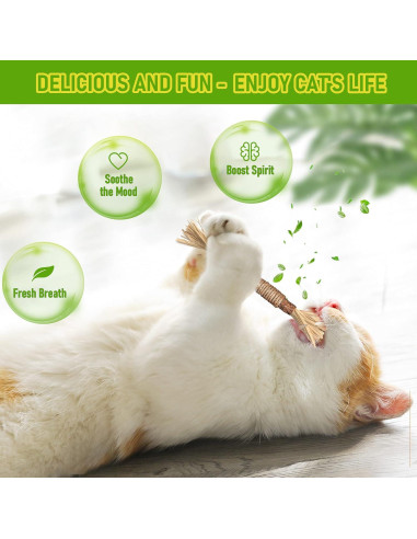 Juguetes de Masticar para Gatos BAWAN - Silvervine 3PCS