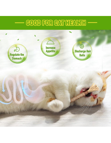 Juguetes de Masticar para Gatos BAWAN - Silvervine 3PCS