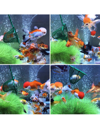 Red de Peces Awpeye 4 Pcs Nylon 10.16 cm Mango Plástico
