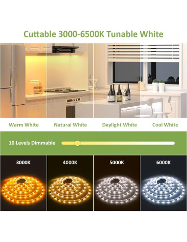 Tira LED Novostella 6m Dimmable 3000K-6500K con Control Remoto