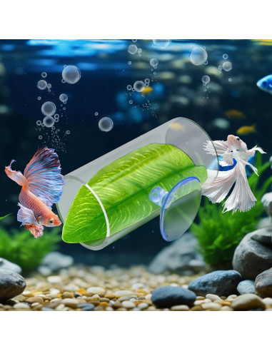 Túnel Acrílico para Peces Betta CousDUoBe con Almohadilla