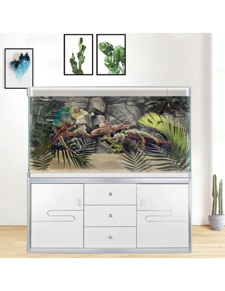 Fondo de Acuario Dtekoj 120x60cm Decoración Natural Fondo de Acuario Dtekoj 120x60cm Decoración Natural