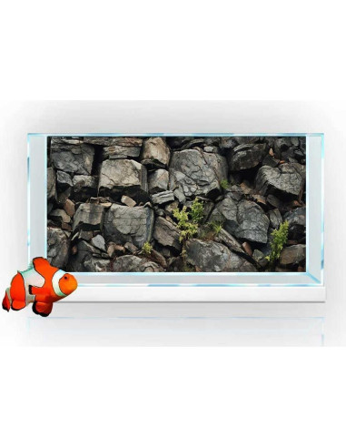Fondo de Acuario Dtekoj 120x60cm Decoración Natural