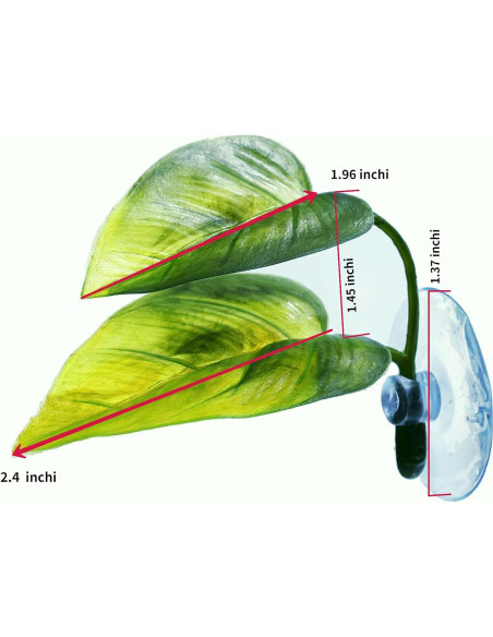 Cama Suave para Betta DODO con Ventosa - Refugio Natural 1pieza Cama Suave para Betta DODO con Ventosa - Refugio Natural 1pieza