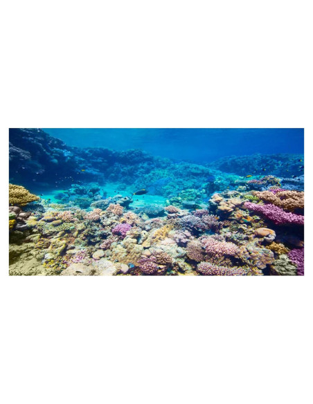 Fondo de Acuario AWERT 120x60 cm Coral Reef Poliester Fondo de Acuario AWERT 120x60 cm Coral Reef Poliester