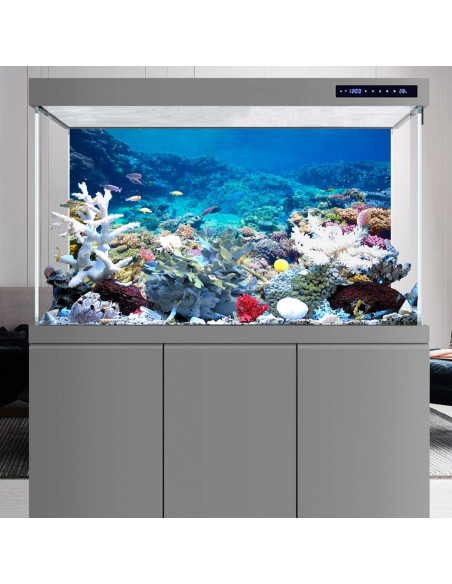 Fondo de Acuario AWERT 120x60 cm Coral Reef Poliester Fondo de Acuario AWERT 120x60 cm Coral Reef Poliester