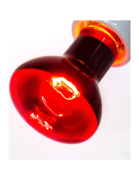 Lámpara de Calor Infrarrojo REPTI ZOO 75W para Reptiles 2PCS Lámpara de Calor Infrarrojo REPTI ZOO 75W para Reptiles 2PCS