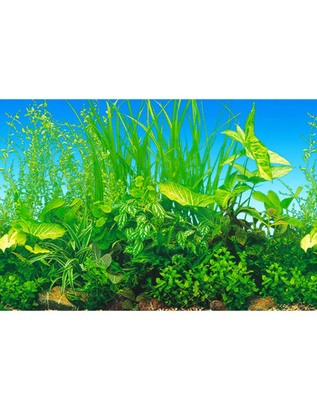 Fondo de Acuario Doble Cara ELEBOX 40x102 cm PVC Impermeable Fondo de Acuario Doble Cara ELEBOX 40x102 cm PVC Impermeable
