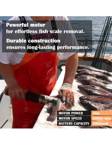 Escalador de Pescado Eléctrico Inalámbrico ROEDEER 12V