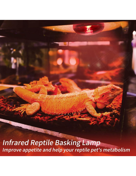 Bombillas de Calor Infrarrojas REPTI HOME 100W para Reptiles Bombillas de Calor Infrarrojas REPTI HOME 100W para Reptiles