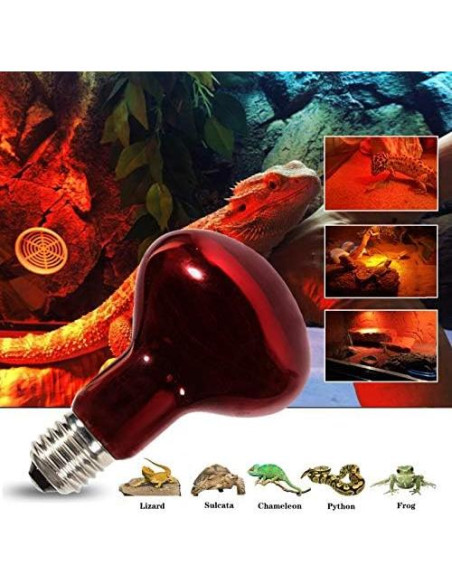 Bombillas de Calor Infrarrojo 75W MCLANZOO 2 Paquete para Reptiles Bombillas de Calor Infrarrojo 75W MCLANZOO 2 Paquete para Reptiles